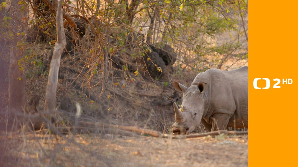 Afrika z výšky E10 - Botswana