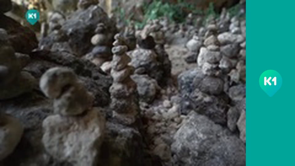 "Пригоди з Яною Метьолкіною".