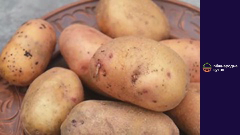 From the Chief - Series 19