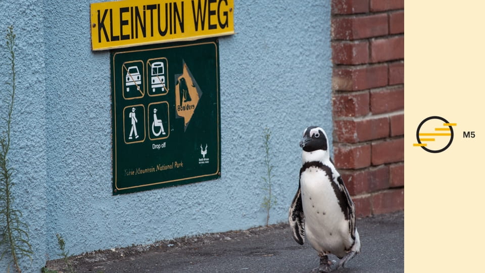Vad vidékek - Metropolisz E3 - Kitaszítottak