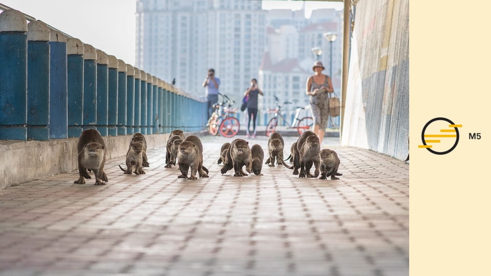 Vad vidékek - Metropolisz E1 - Városlakók