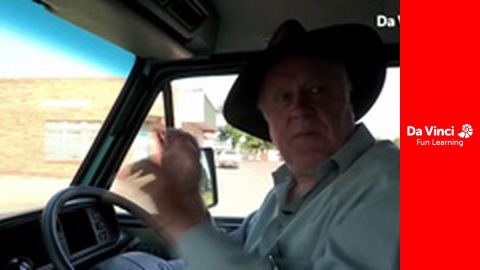 Siyaya - Come Wild With Us - Noah's Ark