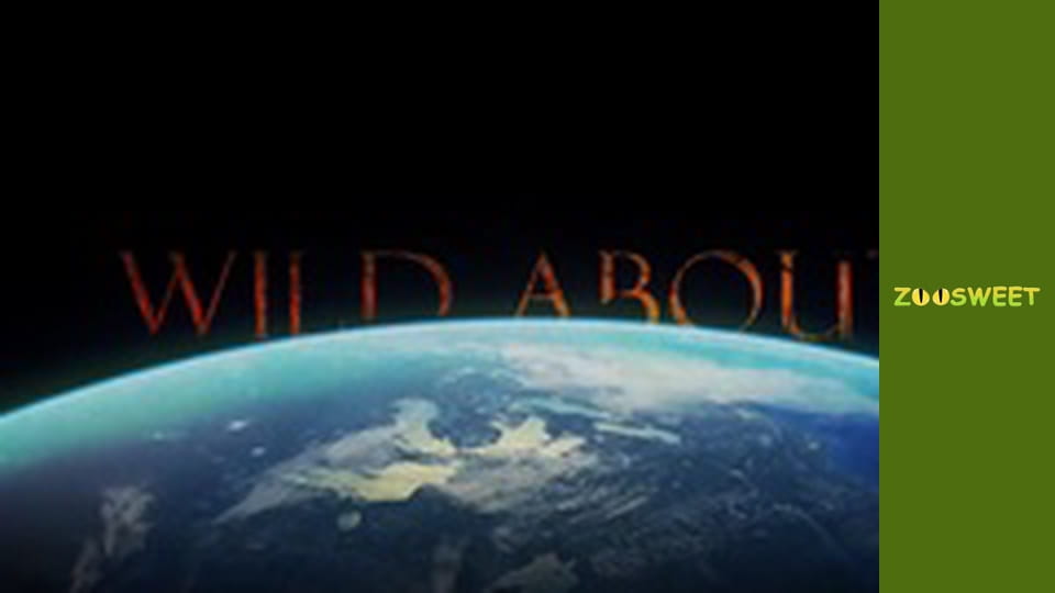 Дике життя, Сезон 1, Випуск 10