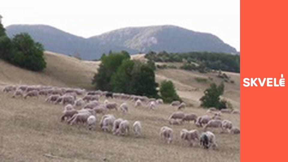 V Kuchyni - Tradičný slovenský salaš