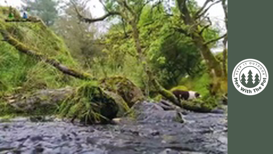 A legjobb hamburger bordákkal és rántottával
