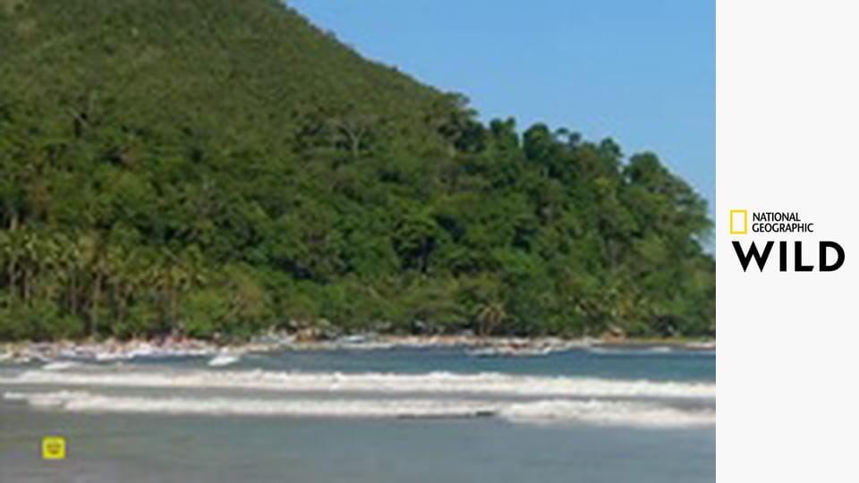 Deset nejnebezpečnějších hadů S3E1 - Filipíny