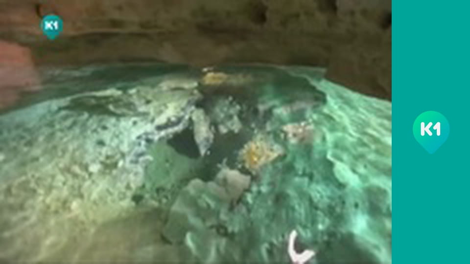 "Орел і Решка. Дайджест".