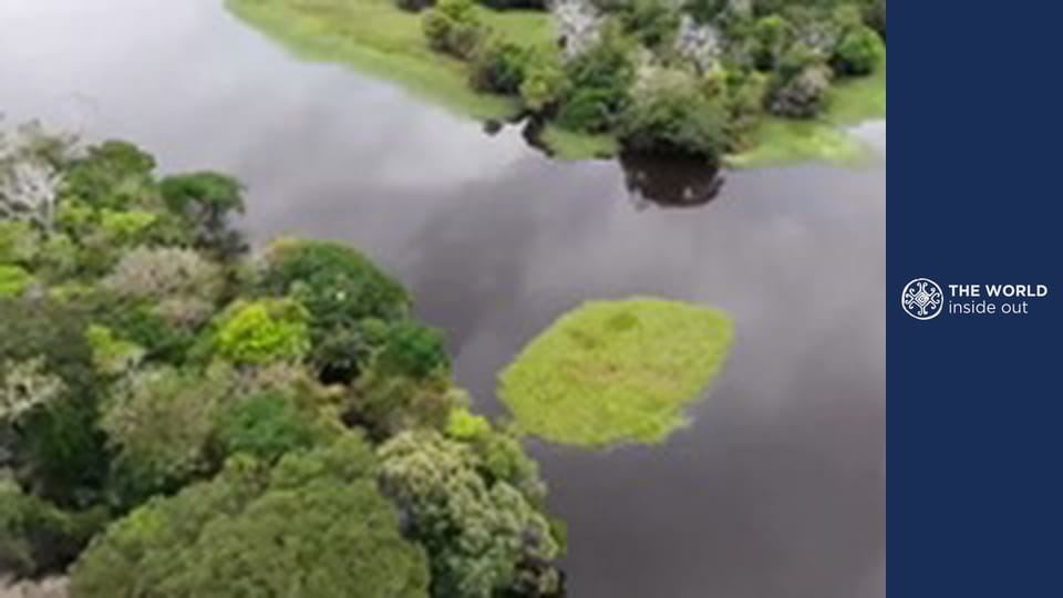 " Extrém halászat és a kalózok áldozatai. Brazília."