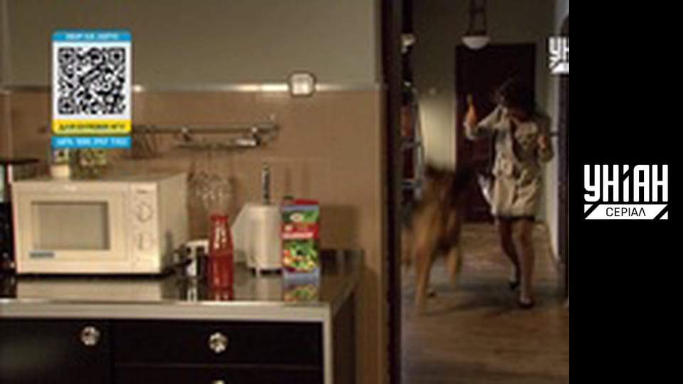 Комісар Алекс