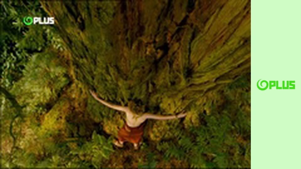 Arthur a Maltazardova pomsta