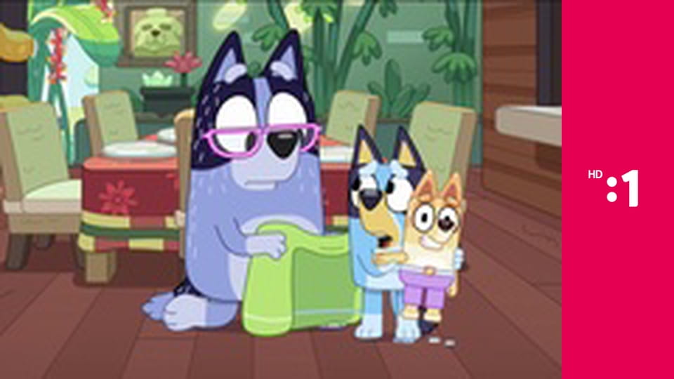 Medvedík Pompon E52 - Tajomstvo proti tajomstvu