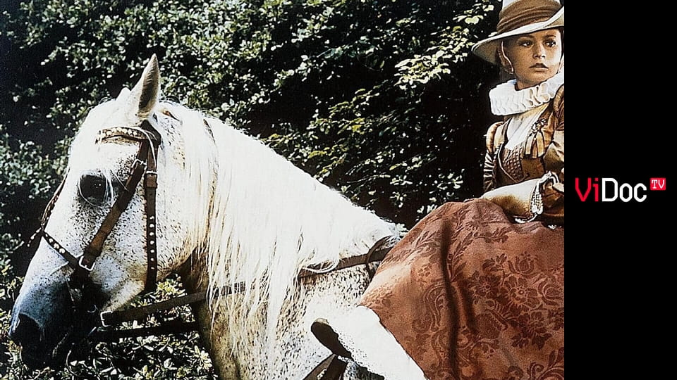 Arabela S1E6 - Zniknięcie Petra