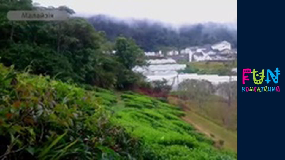 Earners - Season 3 Episode 11