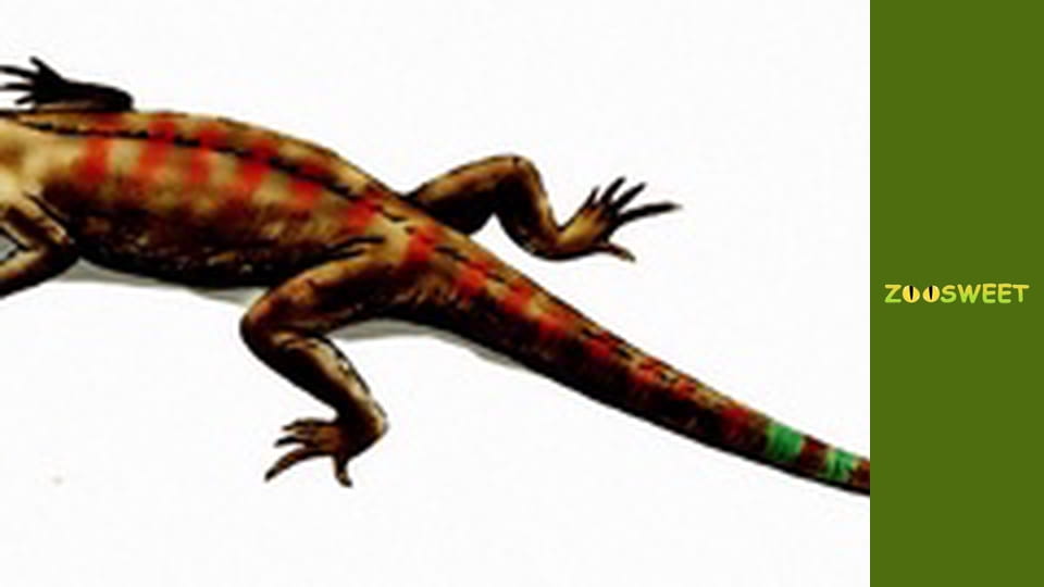 Wild life, Season 1, Episode 10