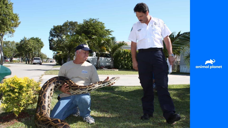 Veterinární policie: Filadelfie S12E7 - Pomocné ruce