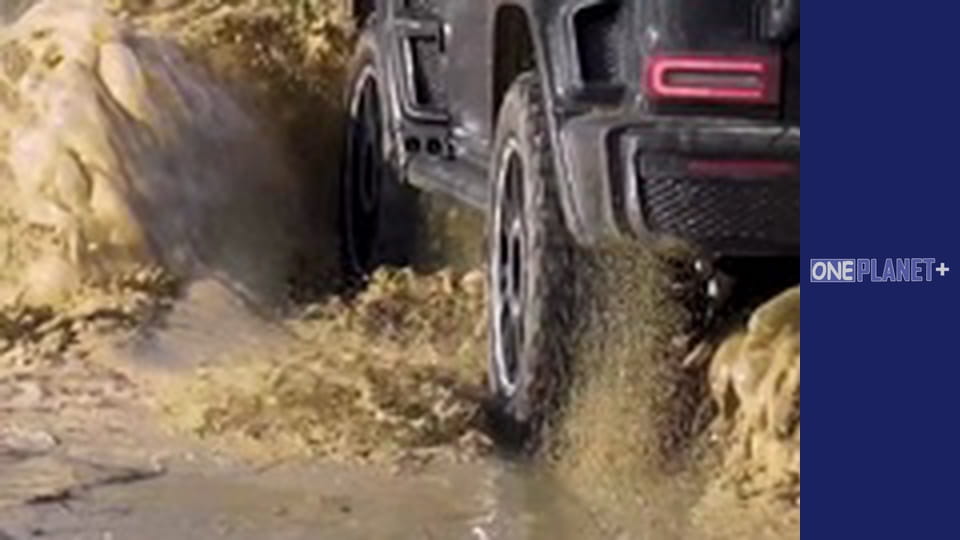 Amazing near - series 7