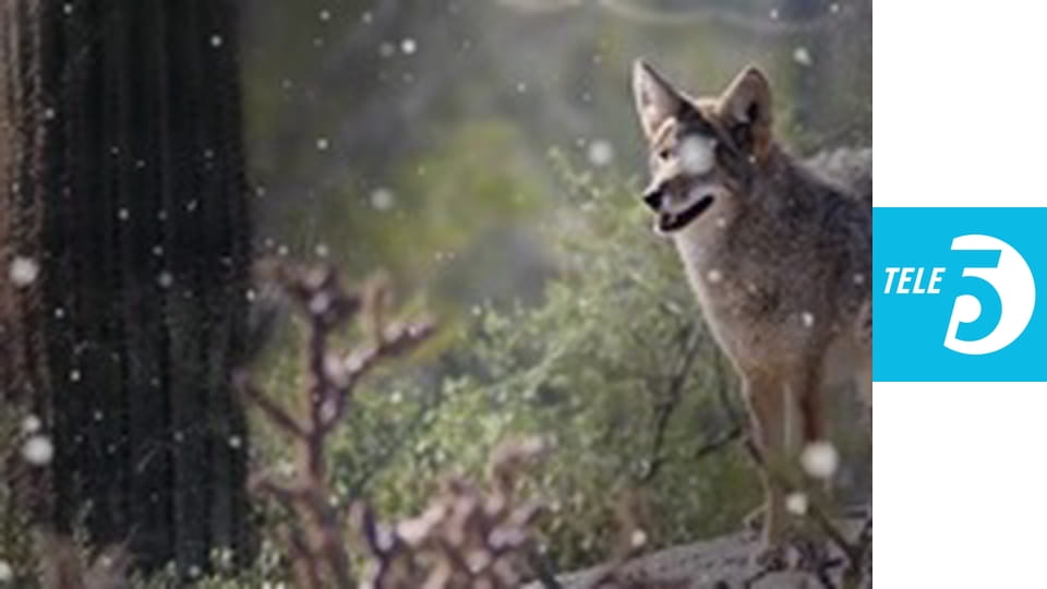 Sekrety zwierząt E2