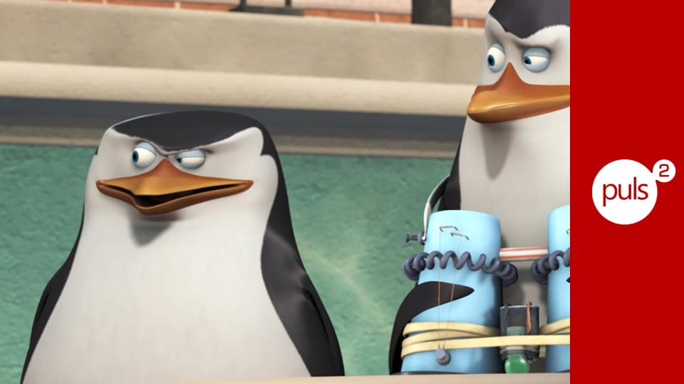 Pingwiny z Madagaskaru S1E101 - Popkornowa panika / Błyskawiczne zniknięcie