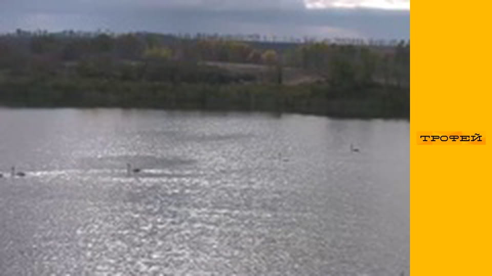 Ні пуху, ні пера! - Регіональний чемпіонат по комплексу серед лягавих