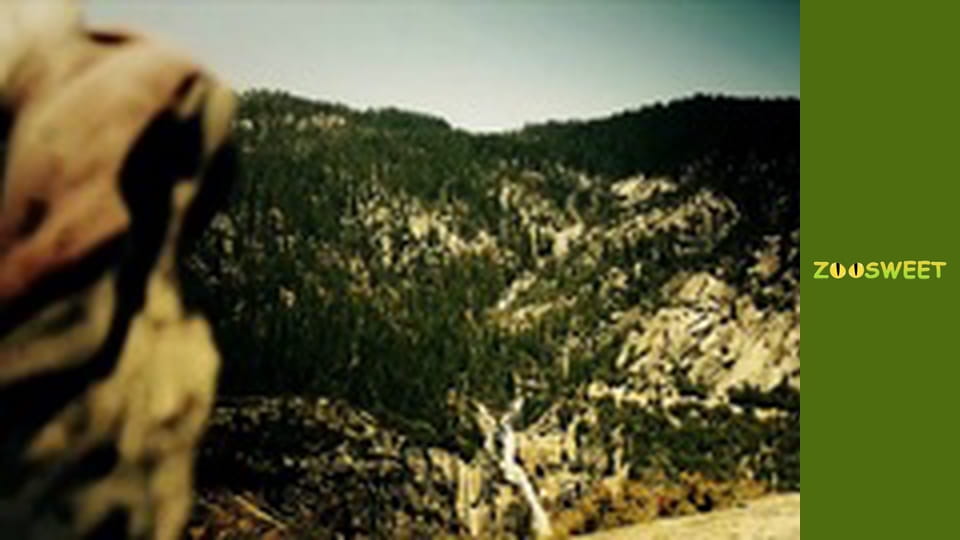 Wild life, Season 1, Episode 12