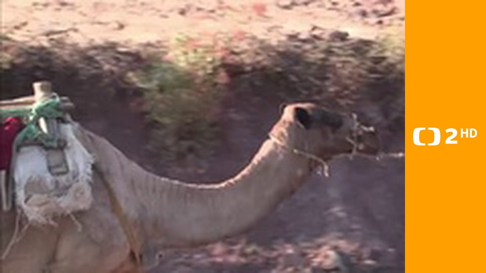 Hranice dokořán - Rozmówki polsko-czeskie