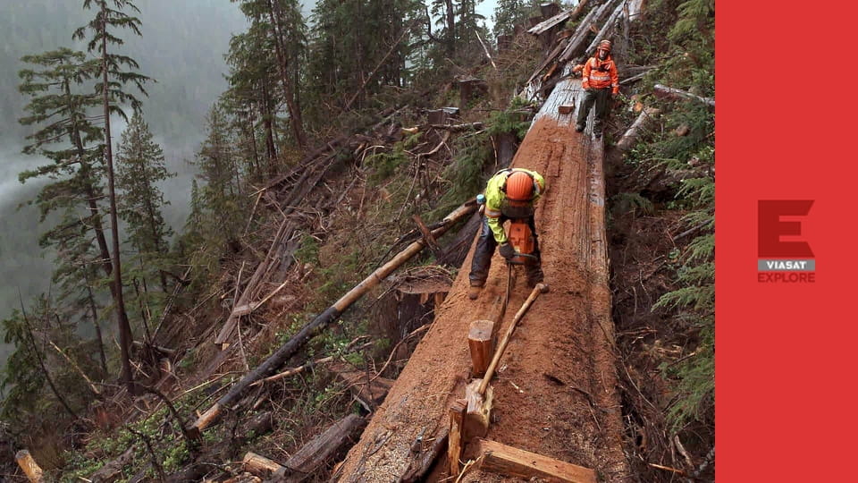 Титани деревини S1E2 - Трясе, гримить, котиться