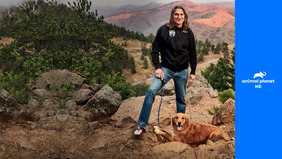 Доктор Джефф. Ветеринар Рокки Маунтин S5E8 - Счастливая пара верблюдов