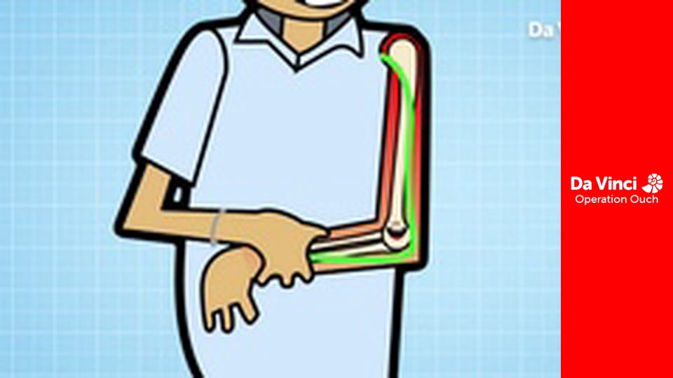 Operacja Auć! - Podróż z ust do żołądka