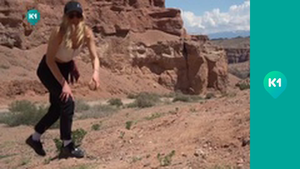 "Пригоди з Яною Метьолкіною".