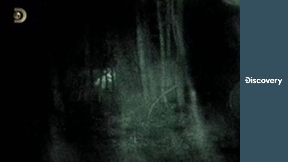 Nahí a vydesení II (22)