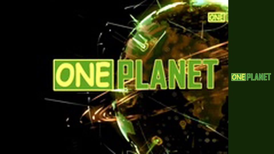 Дивовижне поруч, 8 еп.