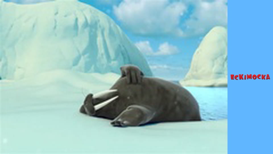 Eskimo Girl. Season 3 Episode 23