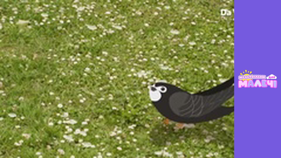 Mily Miss Question - episode 29