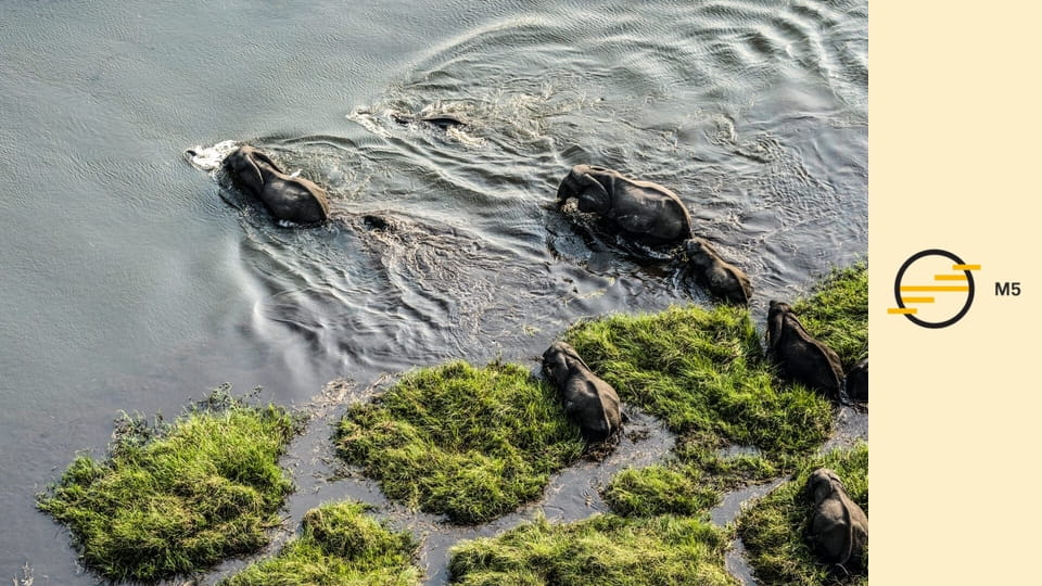 A világ madártávlatból - Egyesült Államok – Az Atlanti-óceántól a Csendes-óceánig