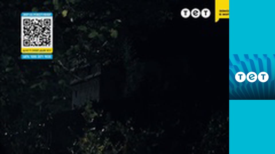 Панянка-селянка