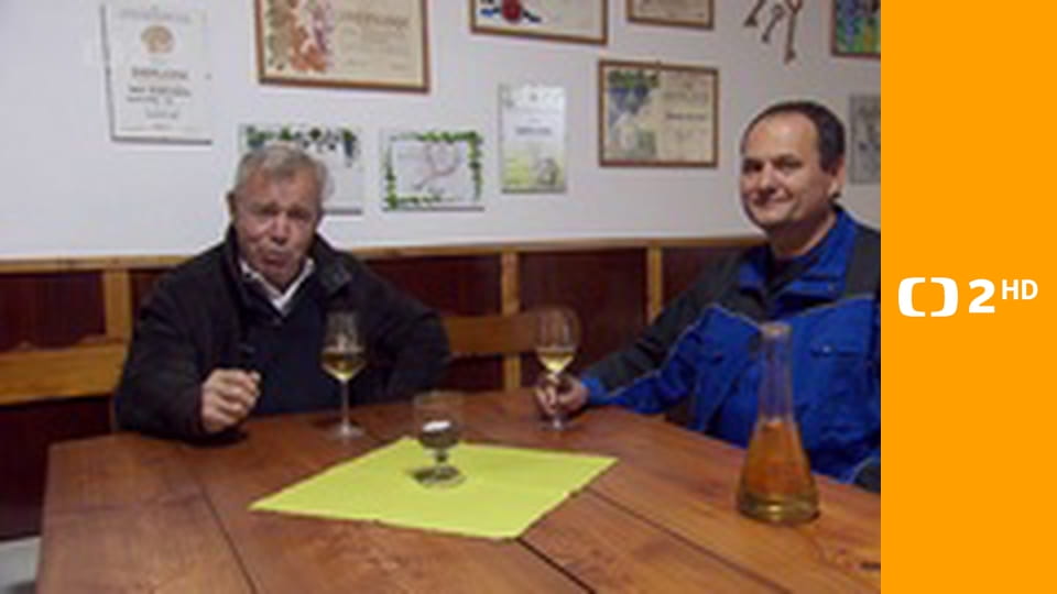 Zprávy v českém znakovém jazyce