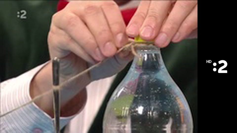 Rodinka líšok a jazvecov E9 - Bobino tajomstvo