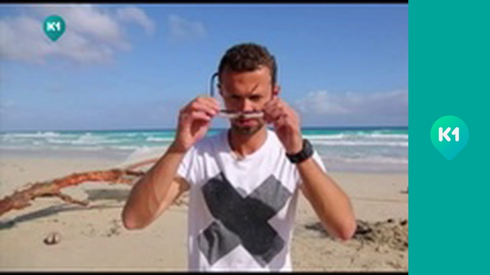 "Орел і Решка. Дайджест".