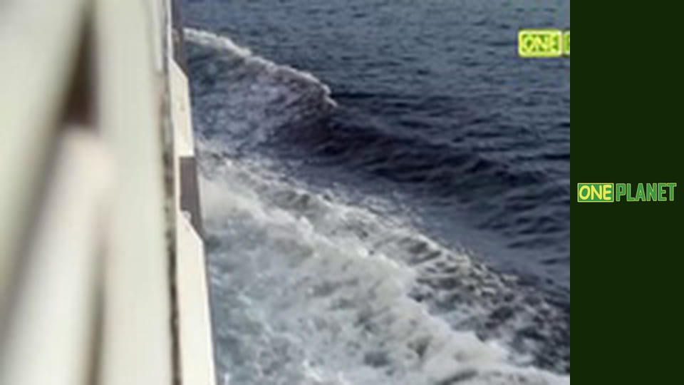 Крутой маршрут, 36 эп.