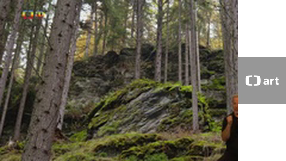 Domeček u tří koťátek