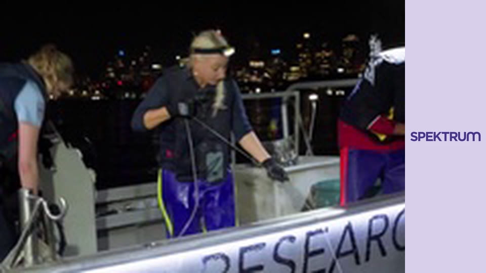 Sydney, az óriás kikötő S1E2