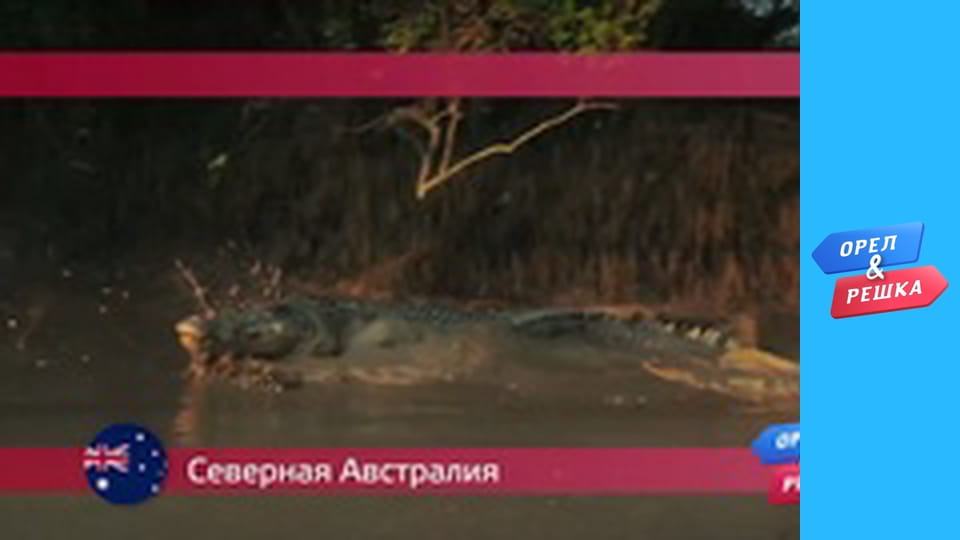 Sea season – Darwin/Northern Australia