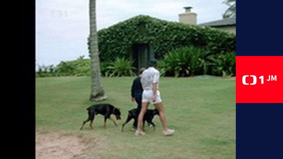 Magnum - Princip psychoanalýzy