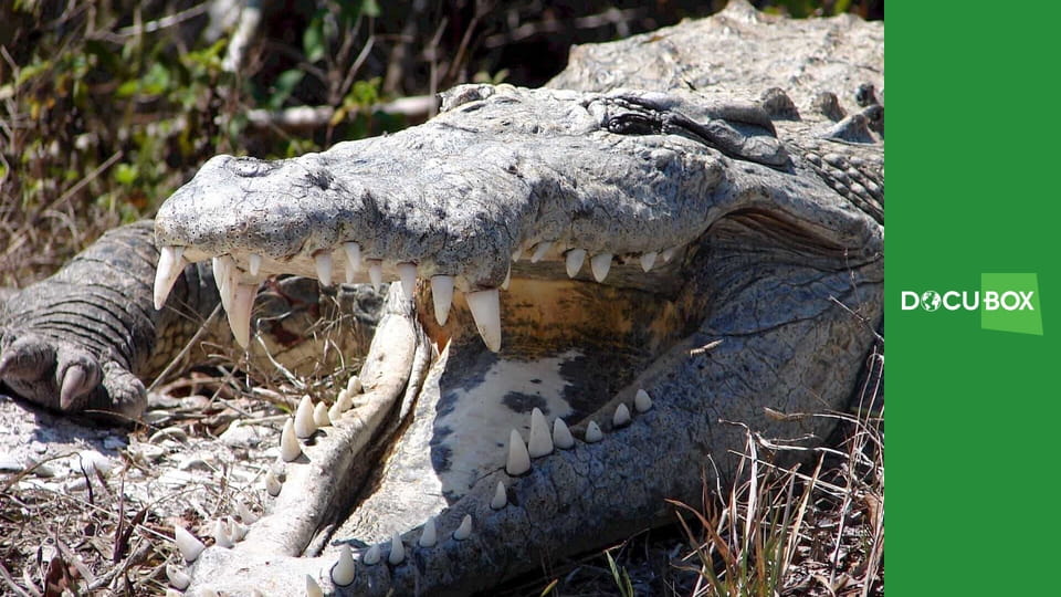Kreatywni zabójcy S1E3 - Otwarta przestrzeń