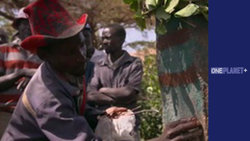 Unlocking the Past, Episode 7