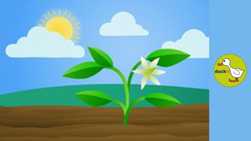 Happy Garden - Bell Peppers