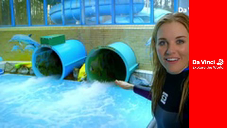 Kto to wie? - Zjeżdżalnia i wafelki do lodów