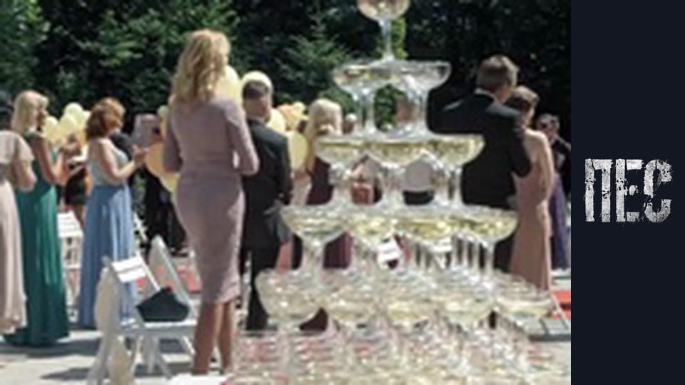 Dog, Season 6, Episode 9