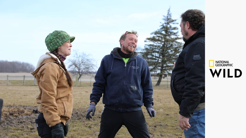 Skvělá farma doktora Pola S1E14 - Polovic podnik