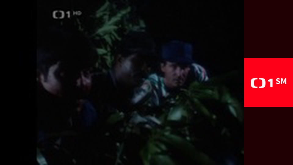 Magnum - Fanoušek tygrů